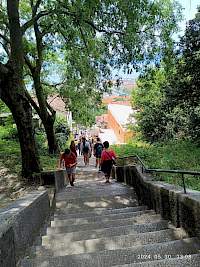 galéria képe 15